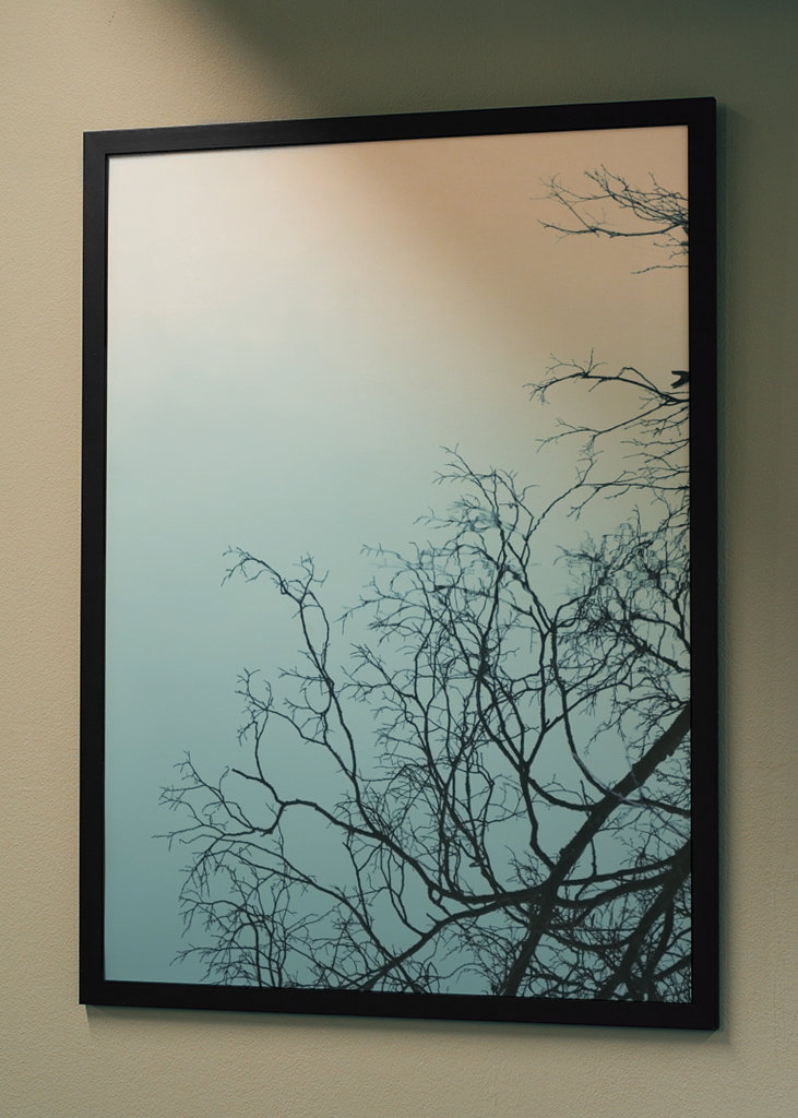 Wood mirrored in water