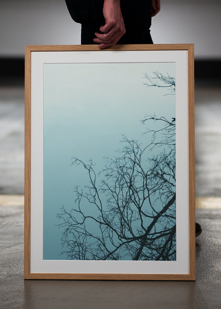Wood mirrored in water