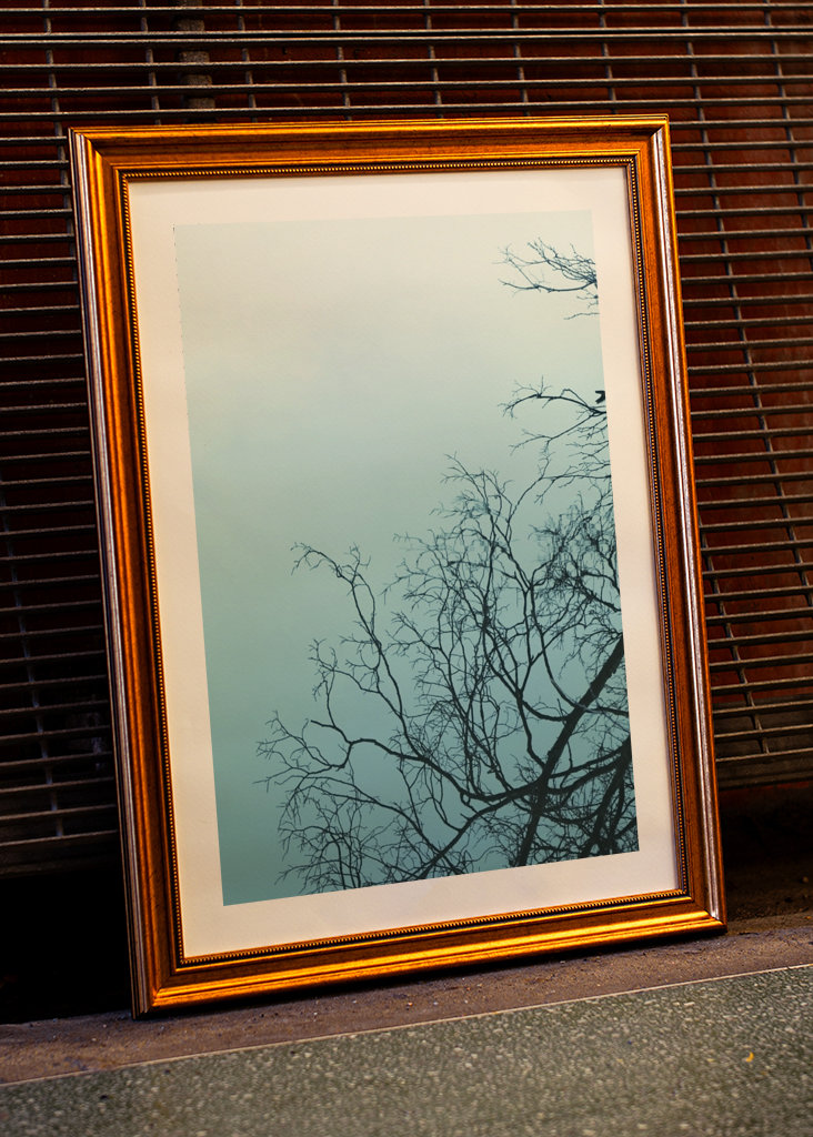 Wood mirrored in water