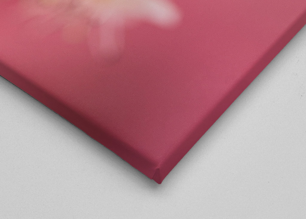 Un sogno rosa e viola