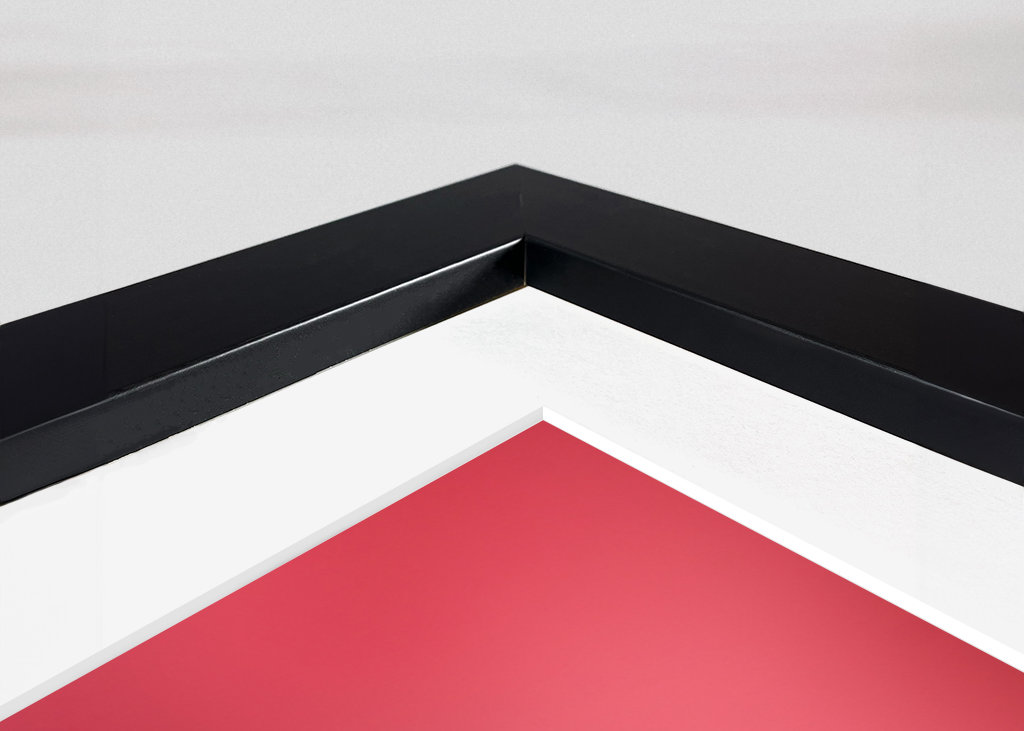 Un sogno rosa e viola