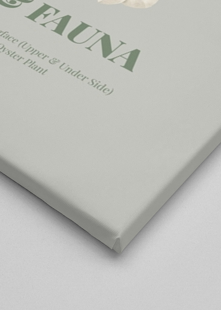 Flora og fauna med tukan