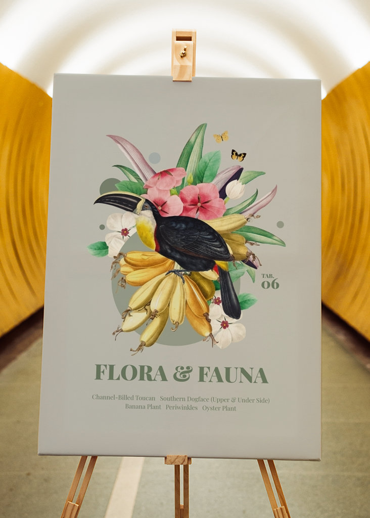 Flora og fauna med tukan