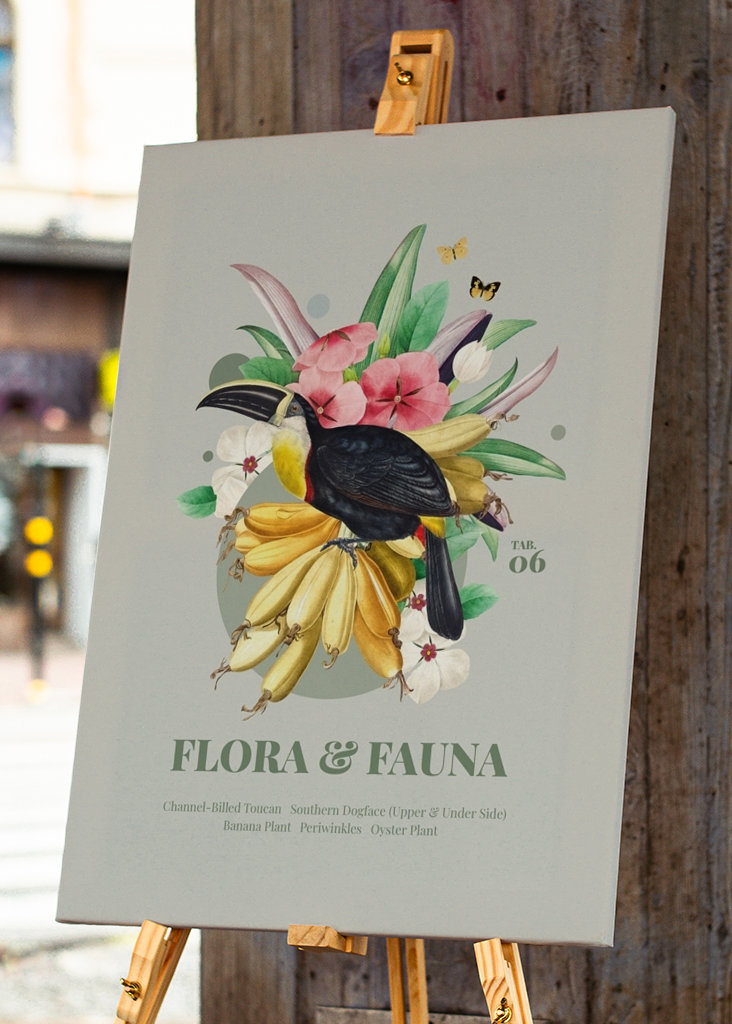 Flora og fauna med tukan