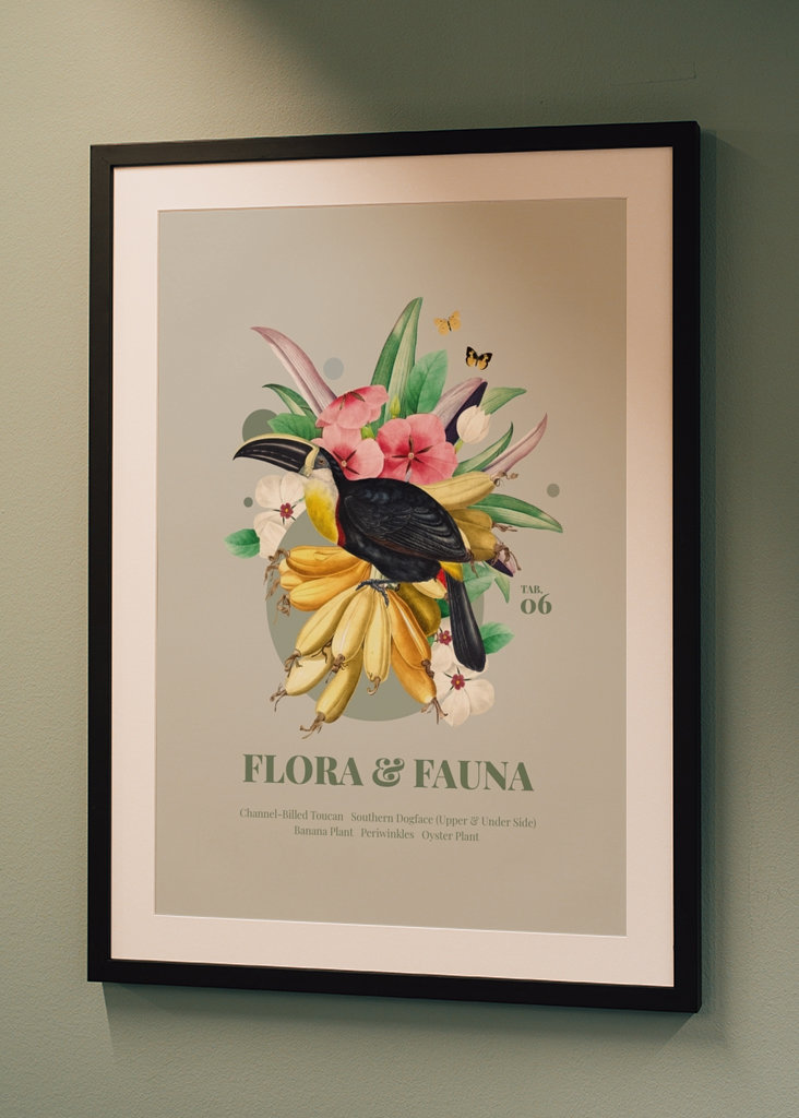 Flora og fauna med tukan