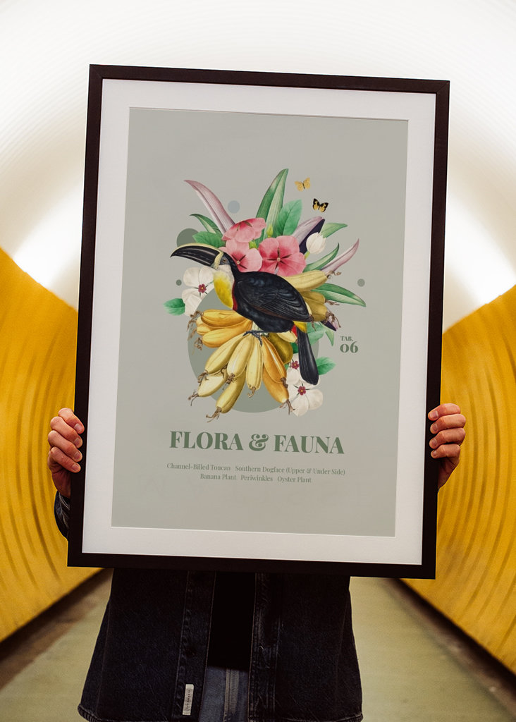 Flora og fauna med tukan