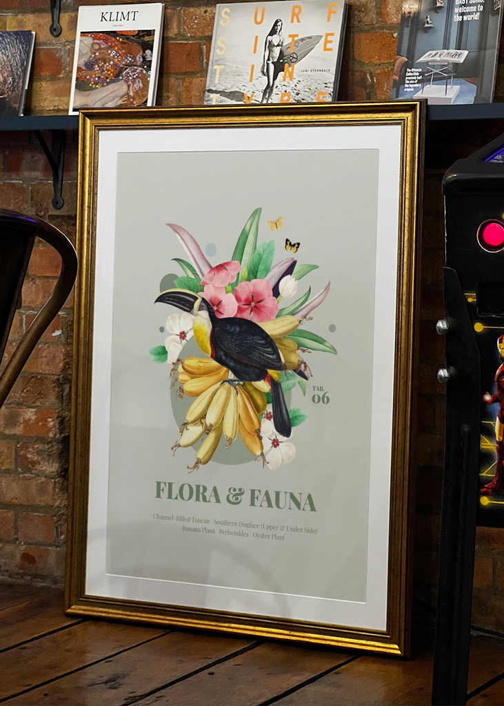 Flora og fauna med tukan