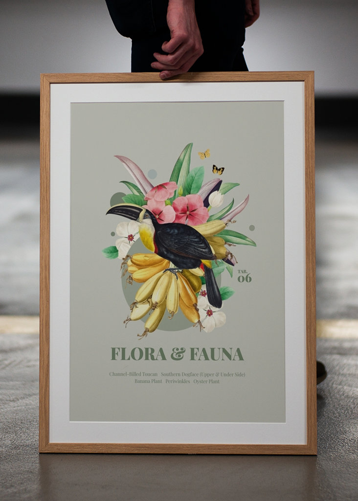 Flora og fauna med tukan
