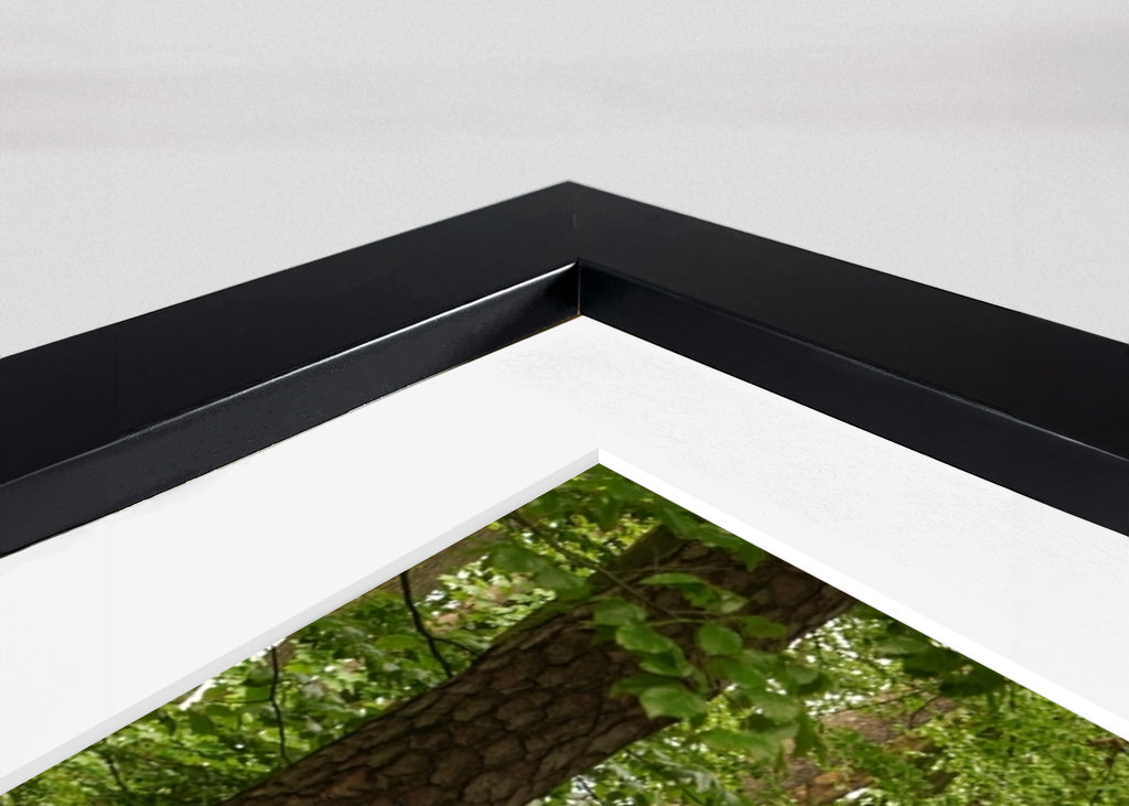 Sendero en un hermoso bosque