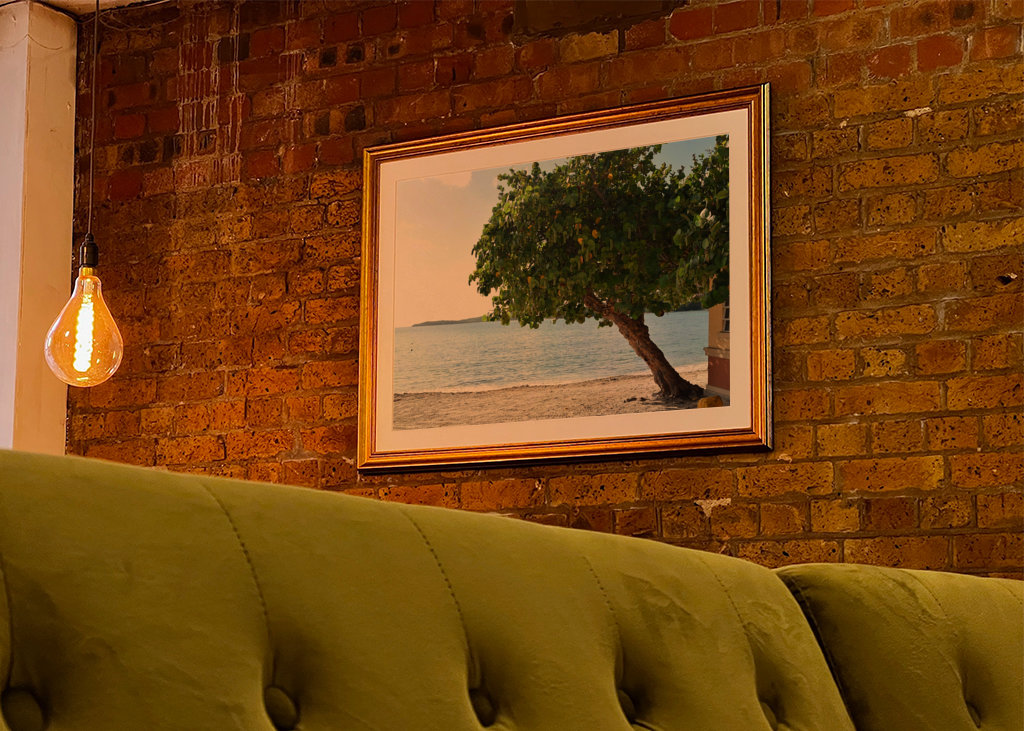 A beautiful tree on the beach 