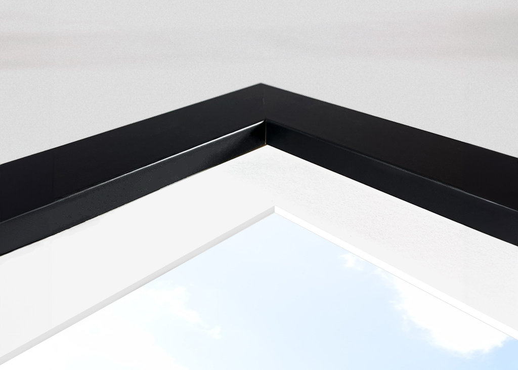 A beautiful tree on the beach 