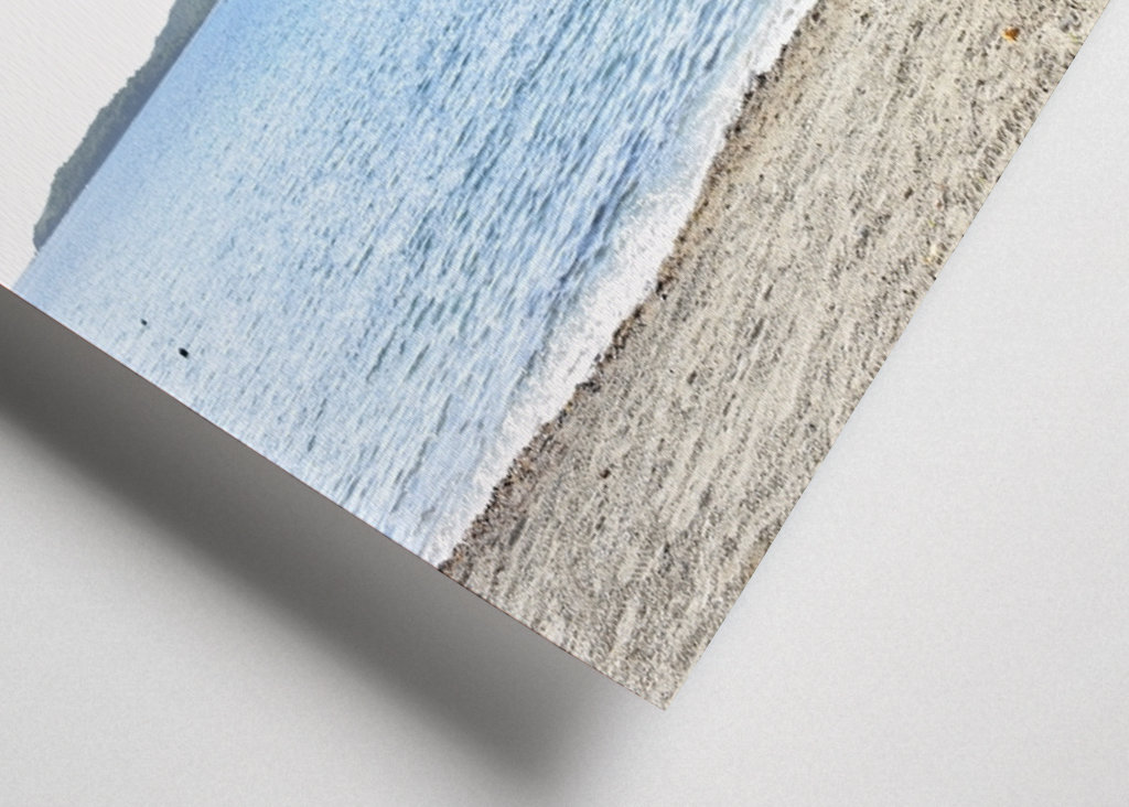 A beautiful tree on the beach 