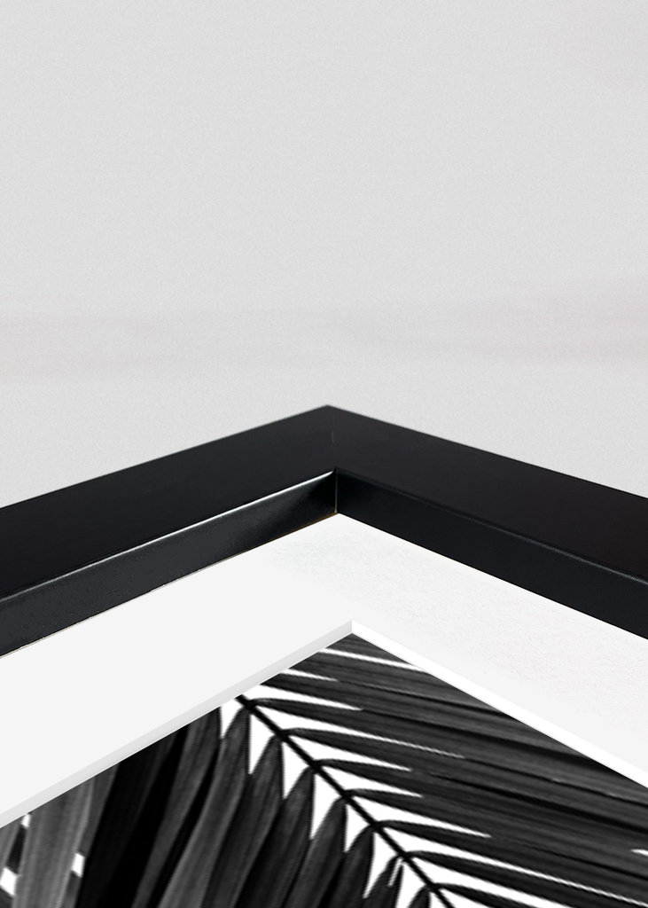 Rêve de feuilles de palmier noir - Cali