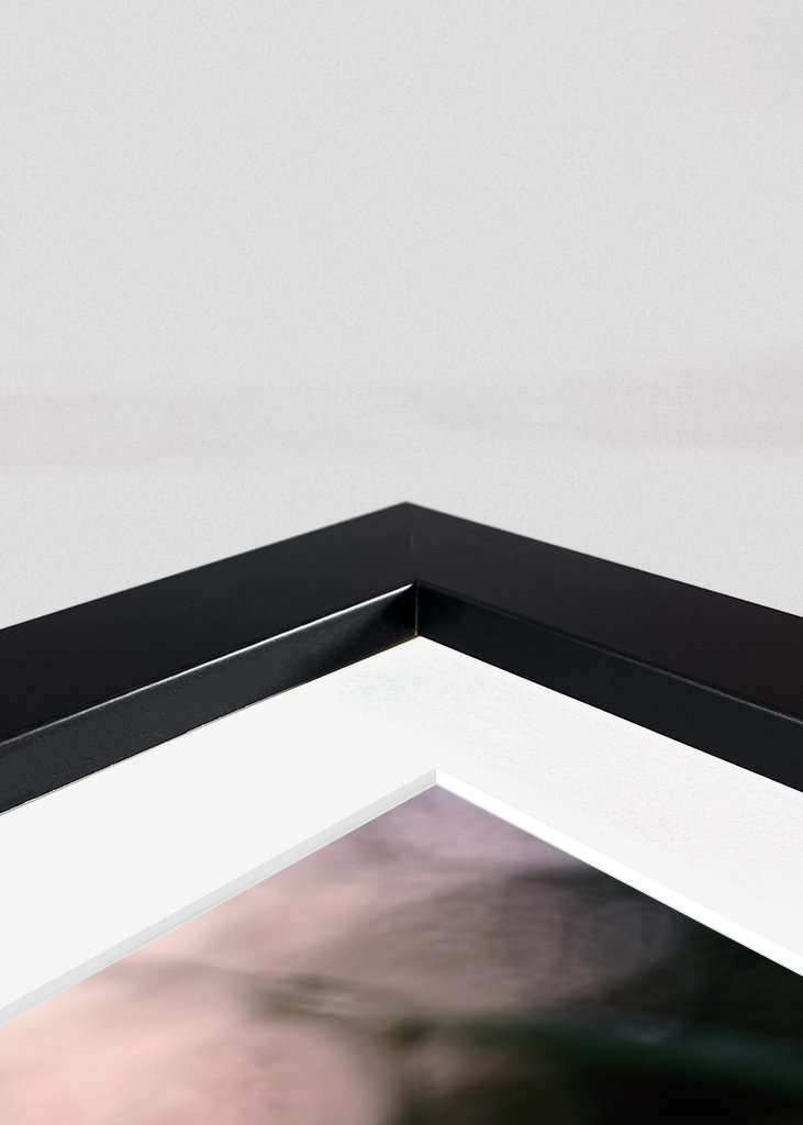 Poppy flower in sunset