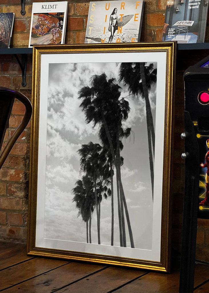 Palmy Černobílé vibrace