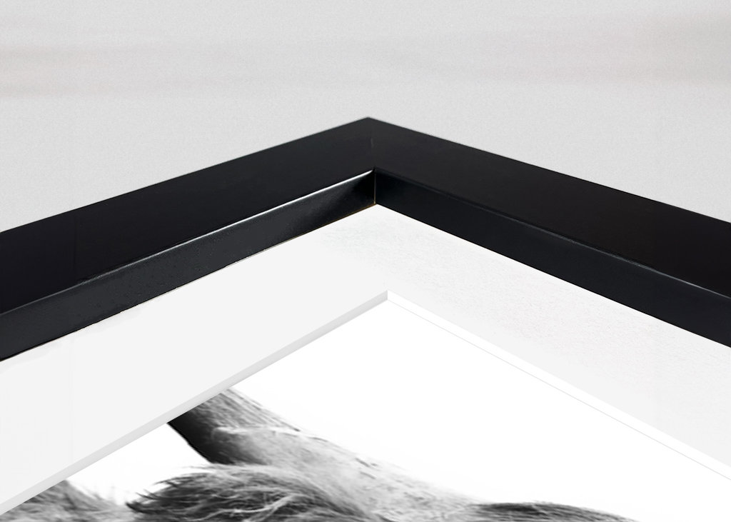 Cute Highland Cow Black White