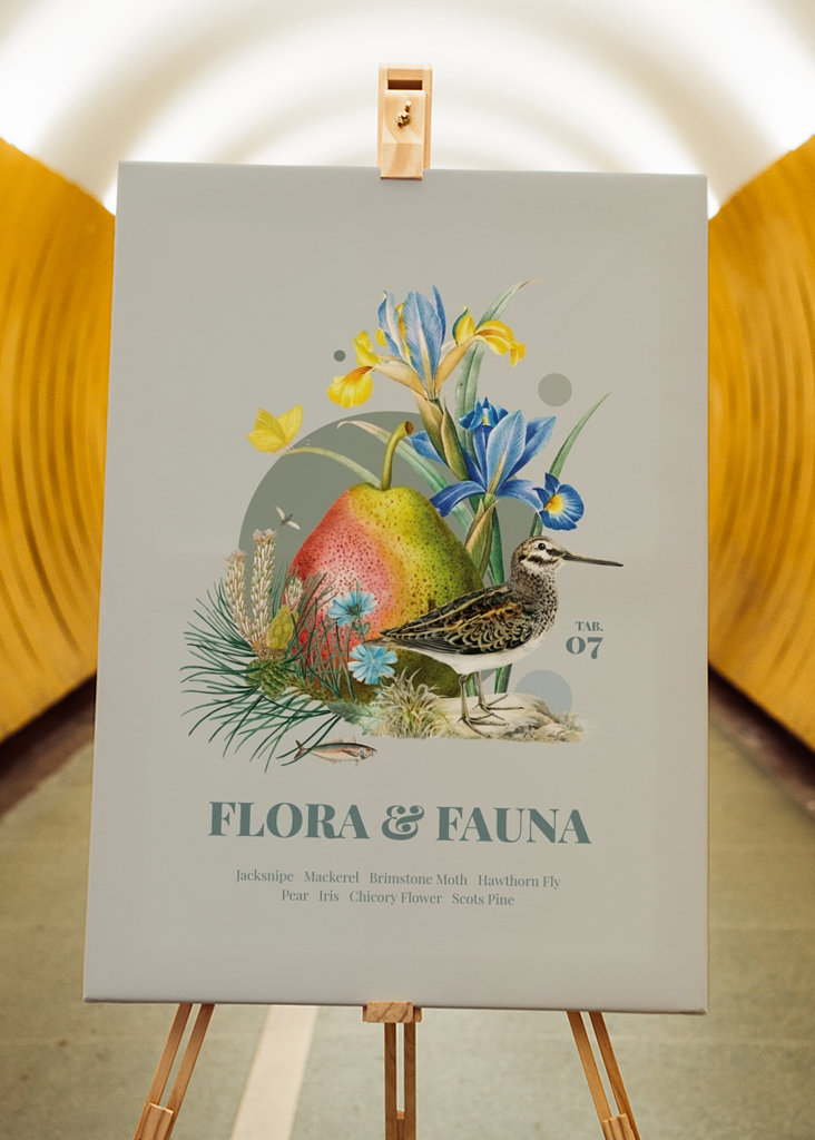 Flora & Fauna m. Zwergschnepfe