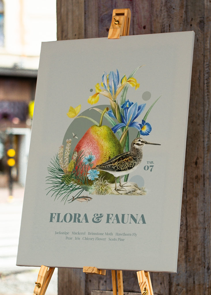 Flora & Fauna m. Zwergschnepfe
