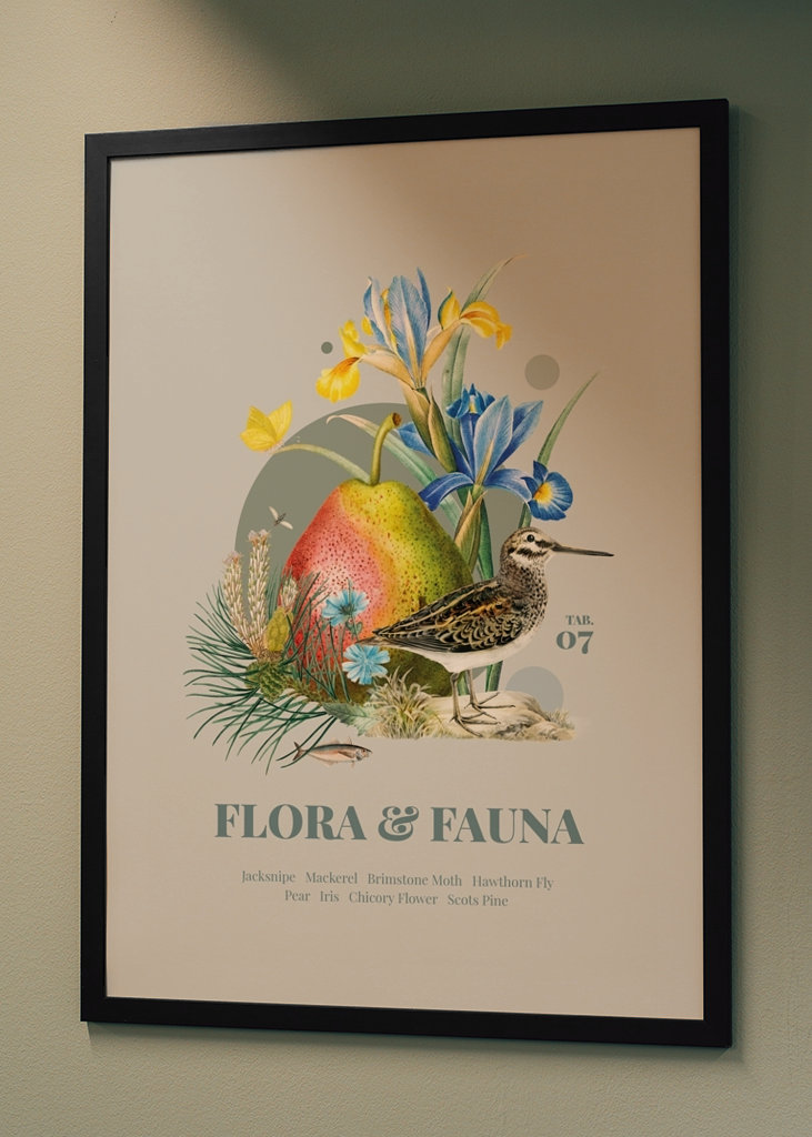 Flora & Fauna m. Zwergschnepfe
