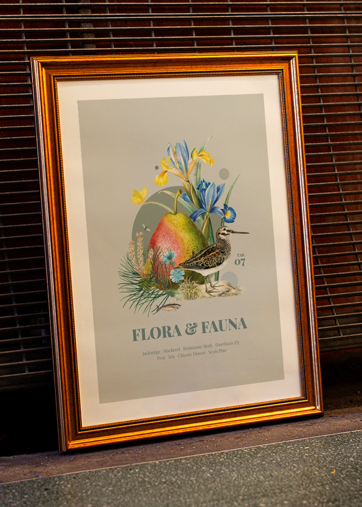 Flora & Fauna m. Zwergschnepfe