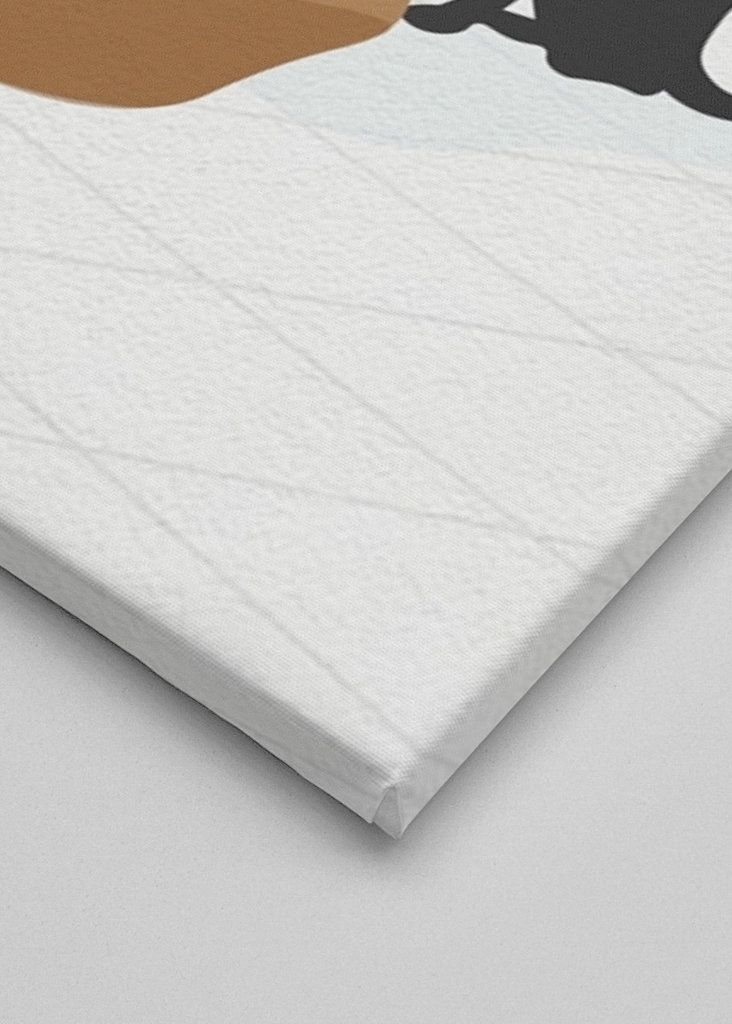 Cute cat and monstera plant