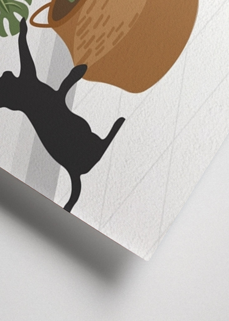 Cute cat and monstera plant