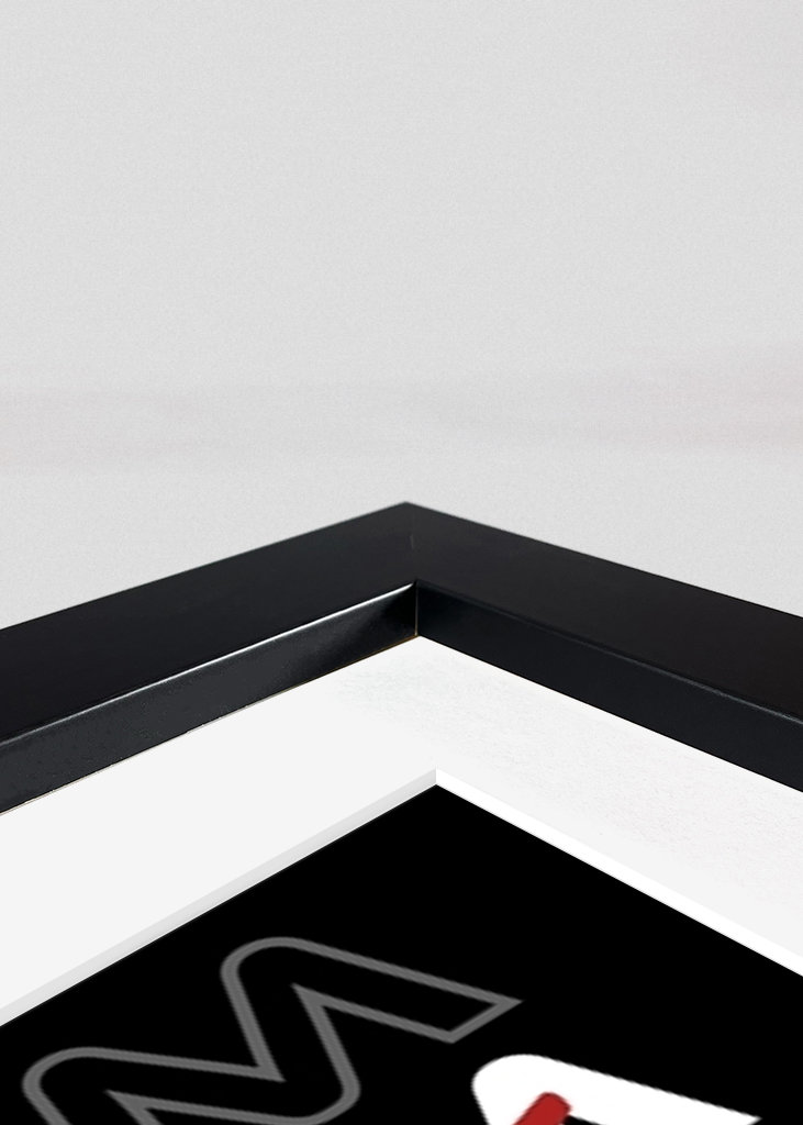 Nissan 350Z JDM Coche