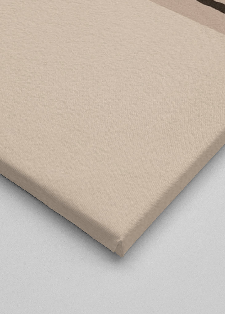 Die Minimal Art der Katzenpflanzen