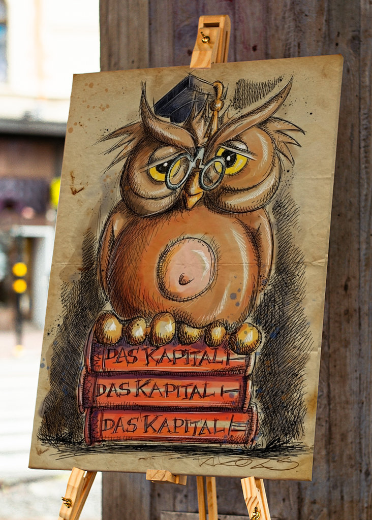 Book Owl