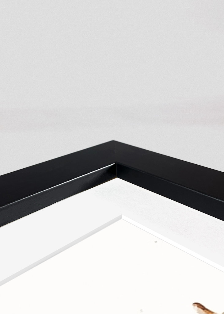 Lionel Messi Argentyna