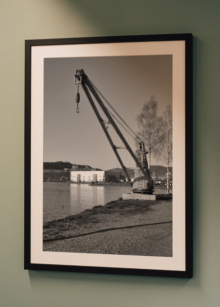 La grue et l’arène