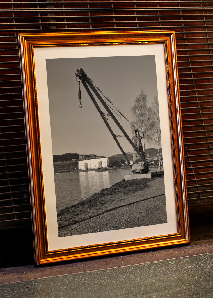 La grue et l’arène