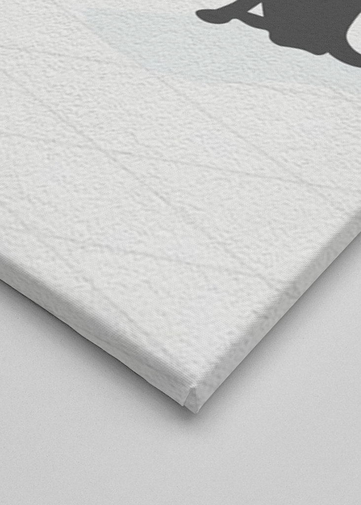 Cat Chasing a Paper Airplane