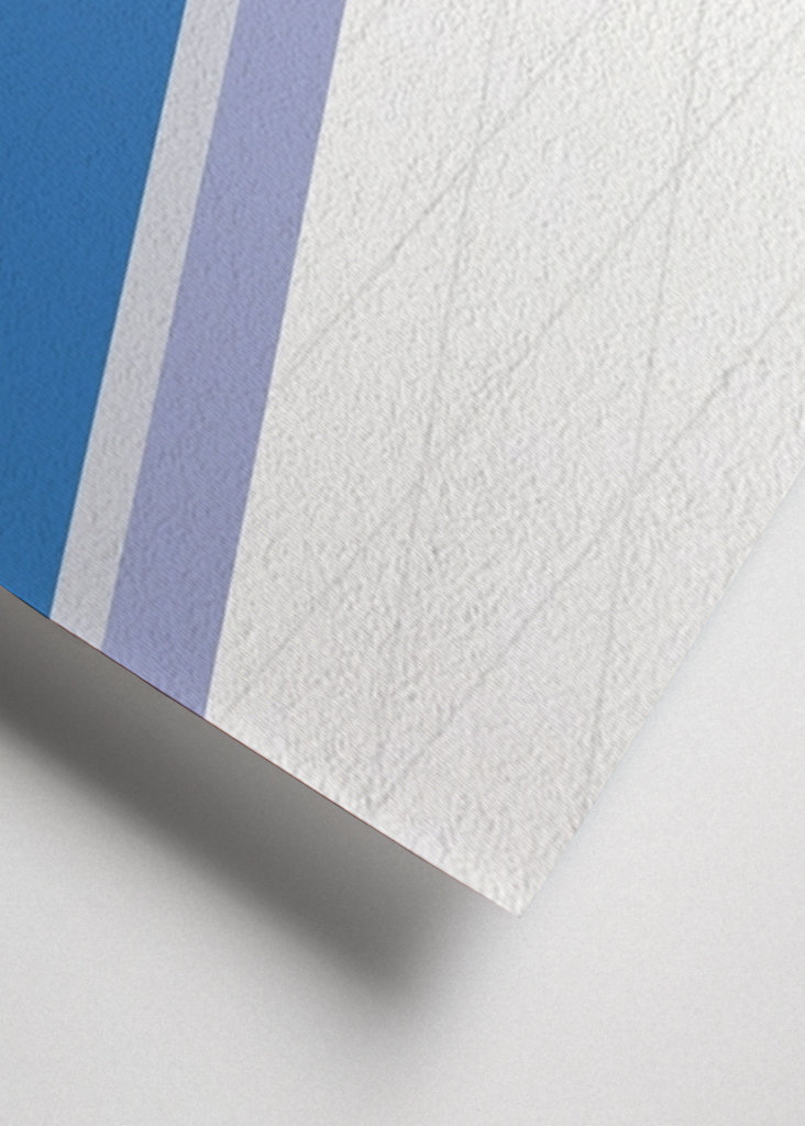 Cat Chasing a Paper Airplane