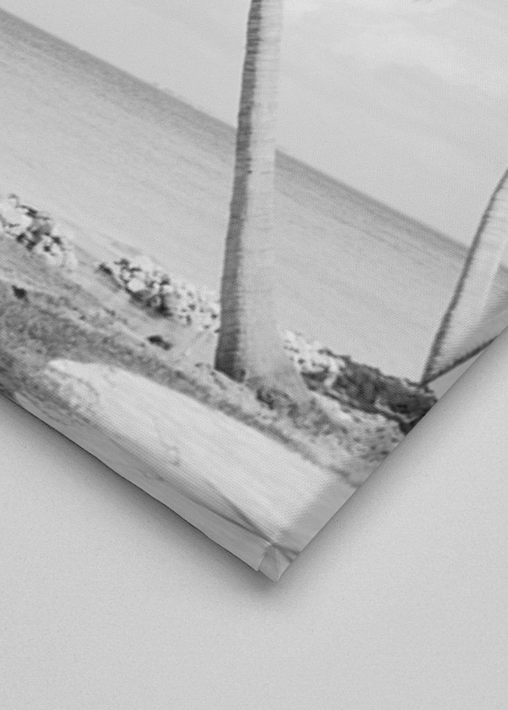 Palm Tree Beach Oasis 2