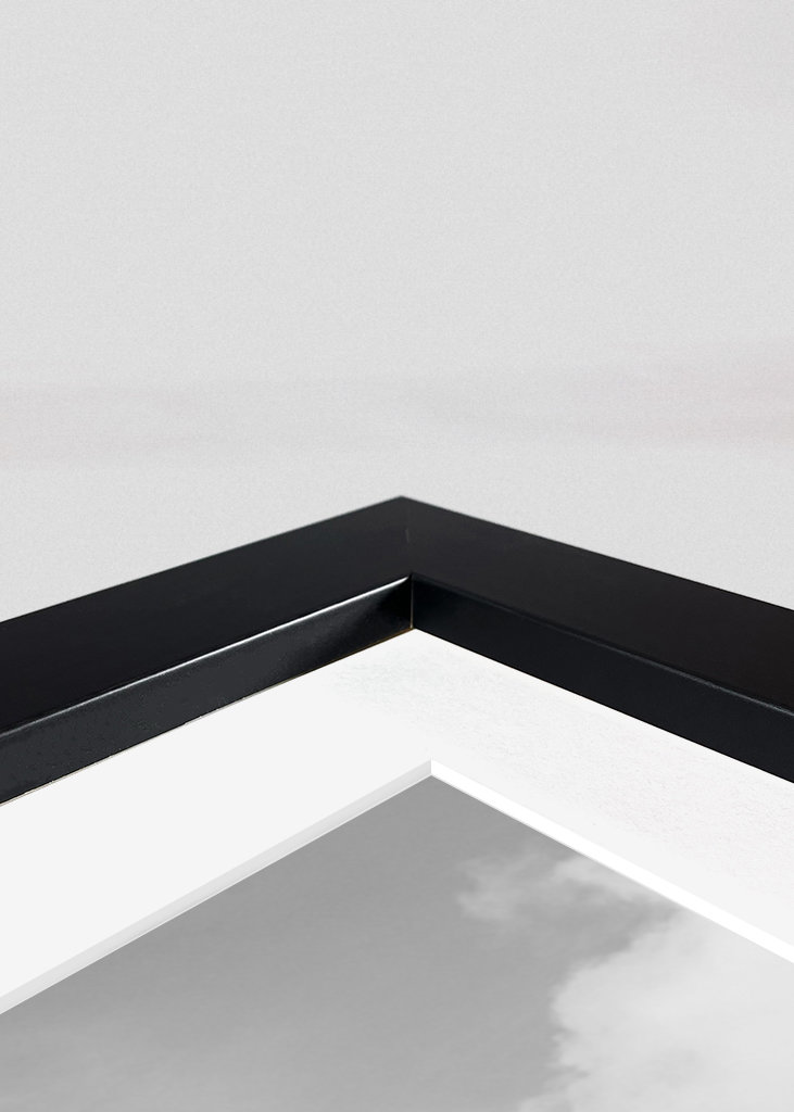 Palm Tree Beach Oasis 2