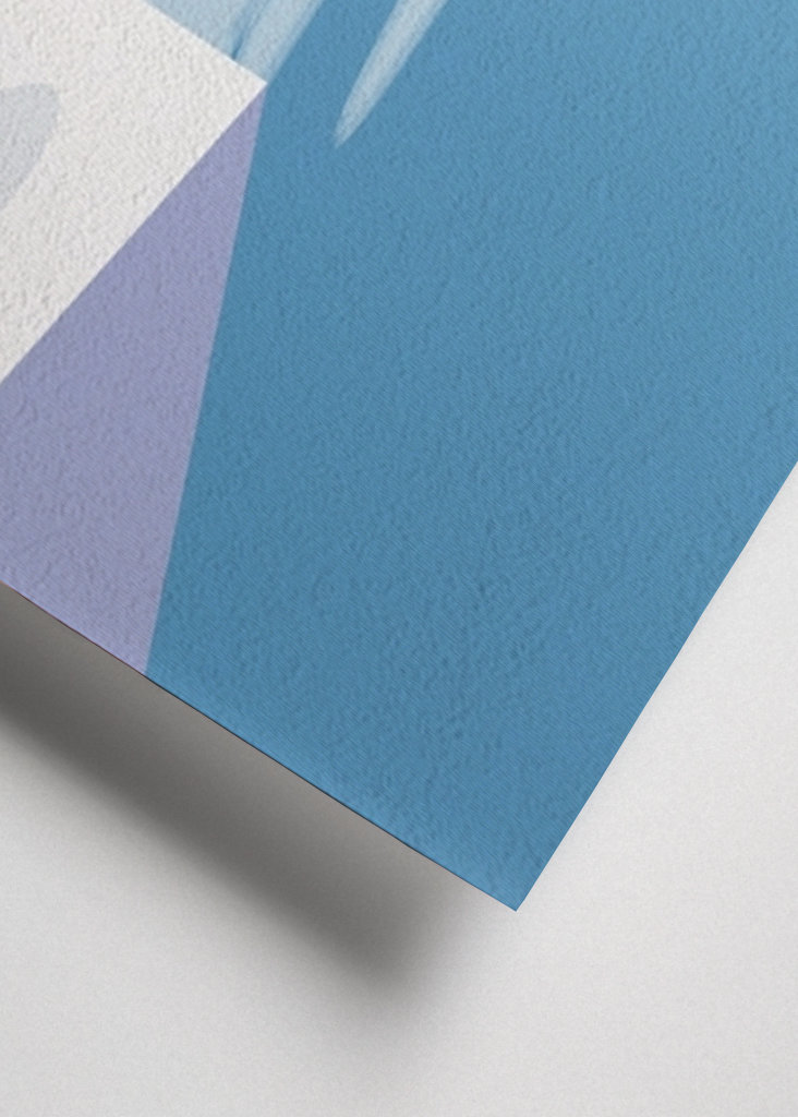 Gatos jugando en el tejado