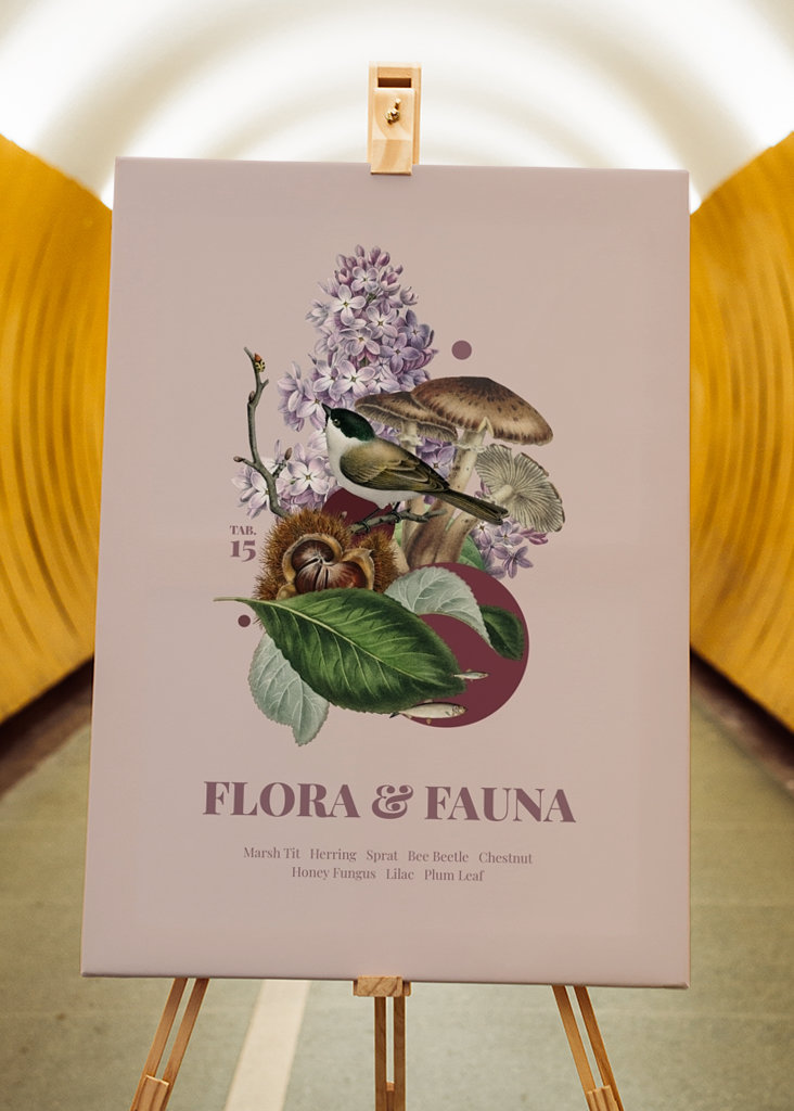 Flora y Fauna con Marisma