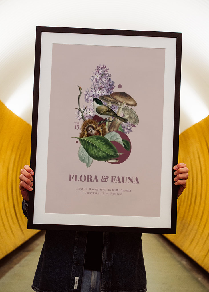 Flora y Fauna con Marisma