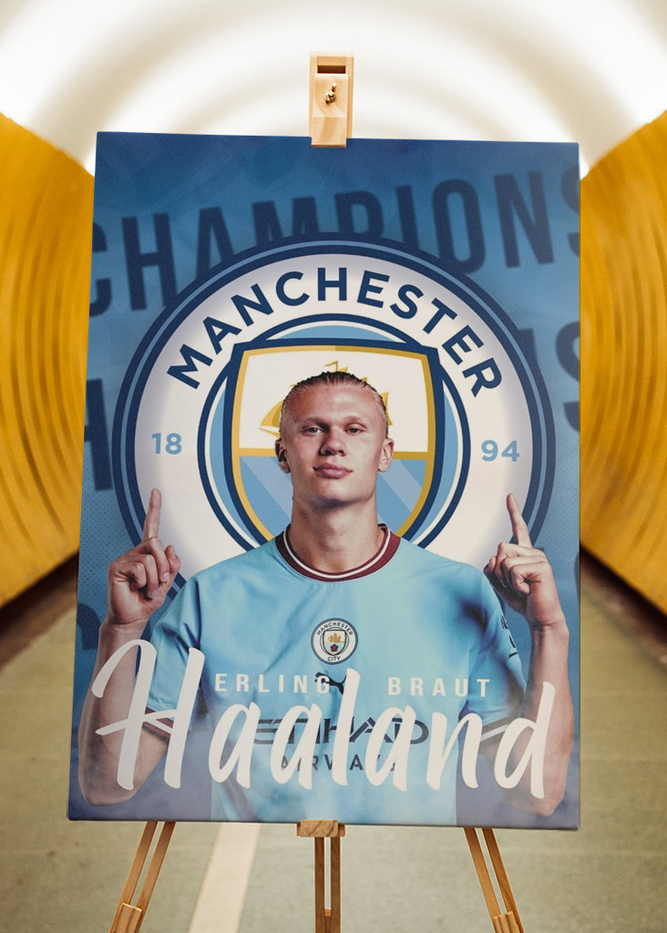 Erling Haalandin muotokuva