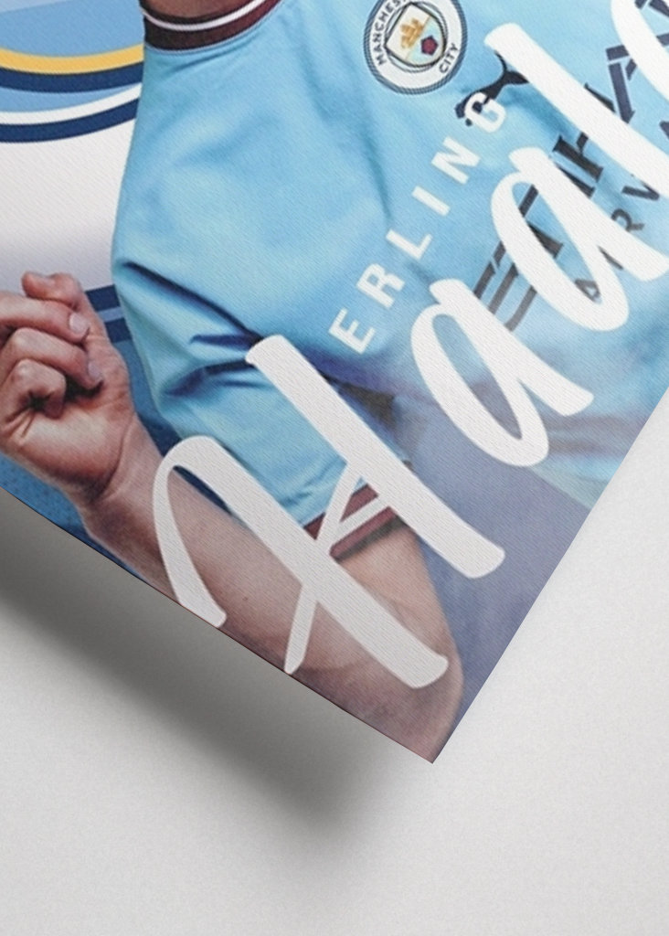 Erling Haalandin muotokuva