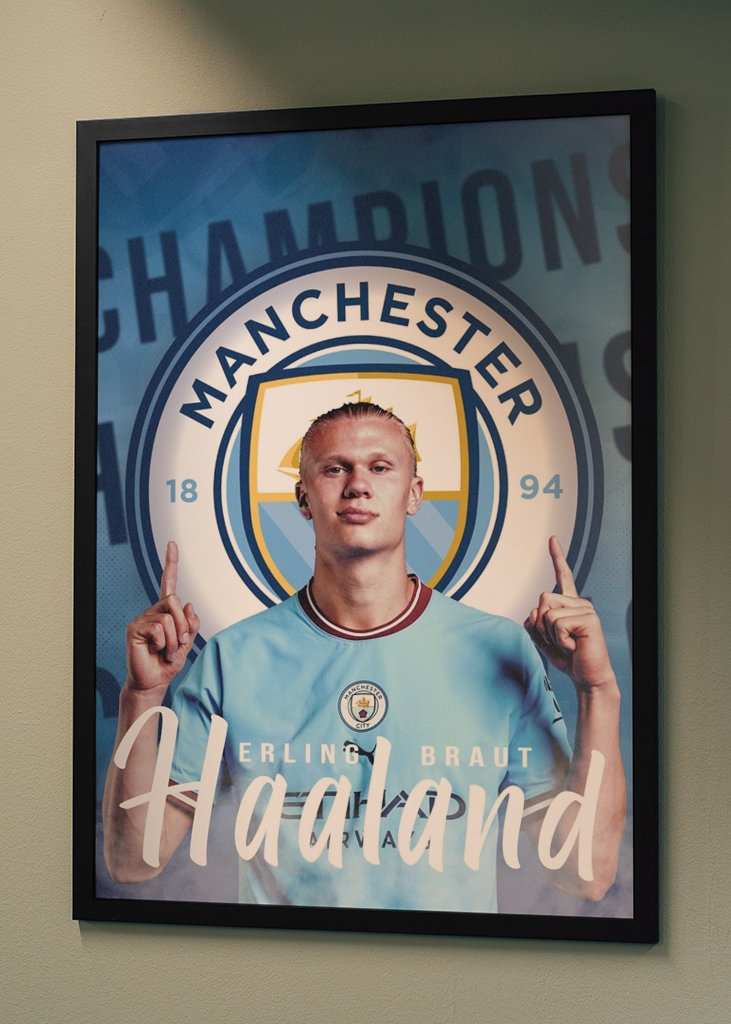 Erling Haalandin muotokuva