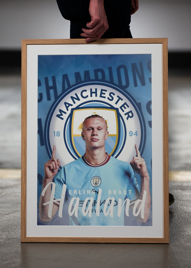 Erling Haalandin muotokuva