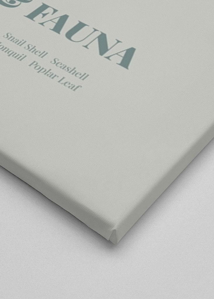 Flora e fauna con il gabbiano