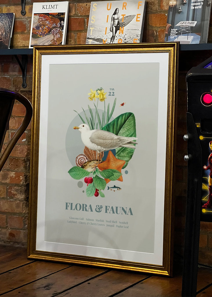 Flora e fauna con il gabbiano