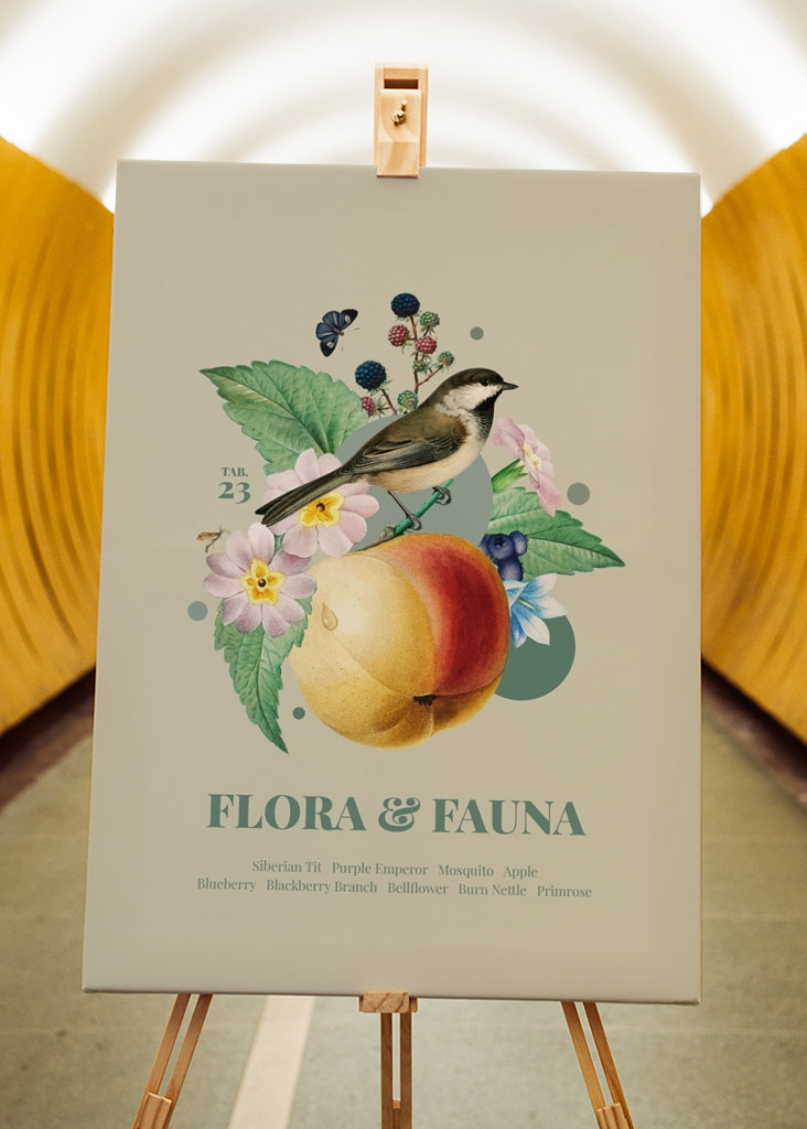 Flóra a fauna m. Laponské meise