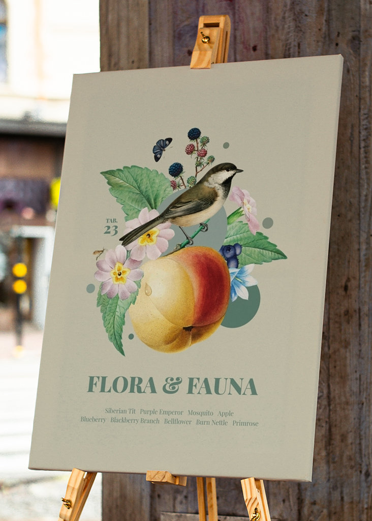 Flóra a fauna m. Laponské meise