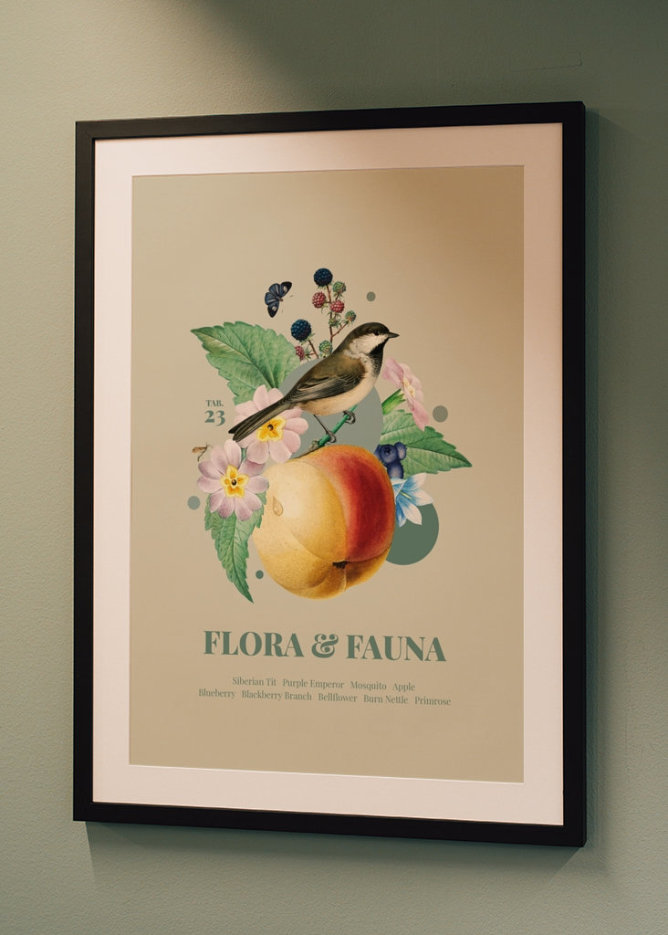 Flóra a fauna m. Laponské meise