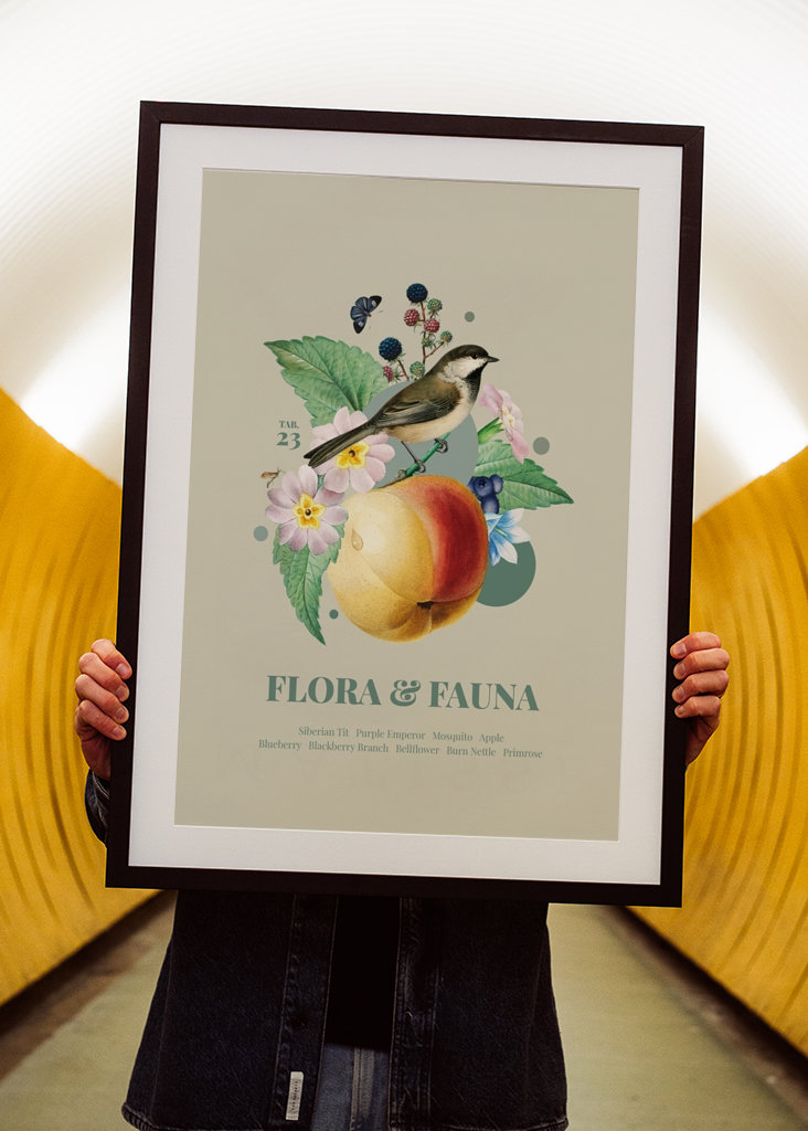 Flóra a fauna m. Laponské meise