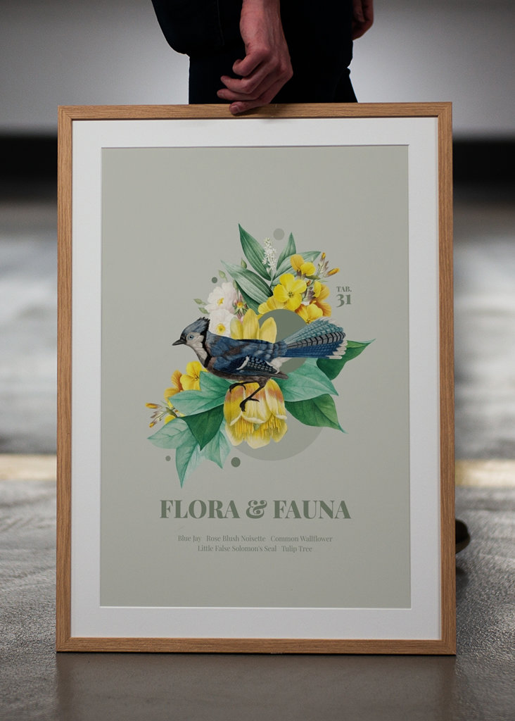 Flora & Fauna mit Blauhäher